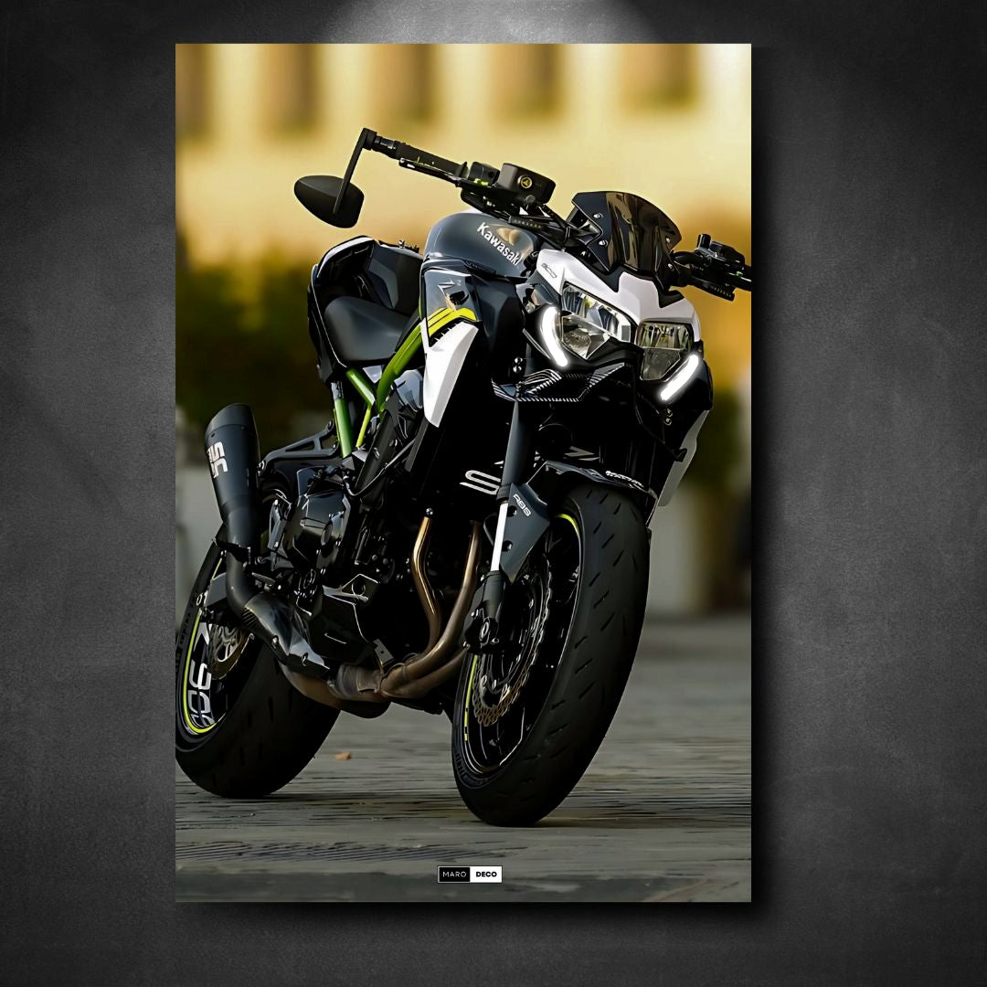 Marodeco Tableau NÉON Kawasaki Ninja Z900