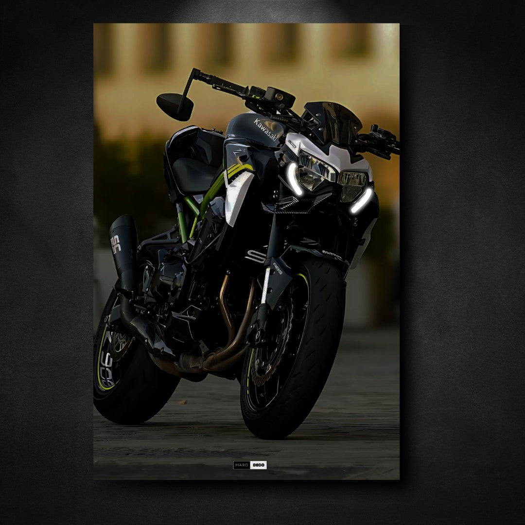 Marodeco Tableau NÉON Kawasaki Ninja Z900